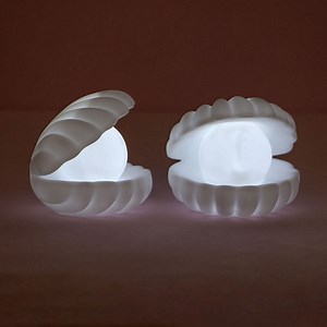 [Hot Item] Portable USB Bedside Small Kids Smart Sea Pearl Shell Table Lamp