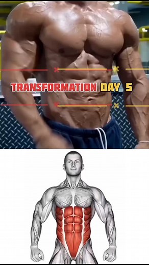 Transformation DAY 5 Killer Abs Exercises to Lose Belly Fat Fast | Get Six Pack Abs at Home Want to burn belly fat and get rock-hard six pack abs? Do these 5 powerful ab workouts daily for just 15 days and watch your body transform! These moves target your core, lower abs, and obliques to shred fat and sculpt muscle excuses, just results! no Exercises included: 1 Crunch (Arm Straight) 2 Flutter Kicks 3 Bent Knee Lying Twist 4 Build strength. Burn fat. Get the abs you've always wanted! ← Subscrib