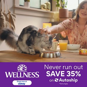5.8K reactions · 137 shares | Even picky ones pick this one! Wellness® wet cat food is an excellent source of high-quality protein & downright delicious. Plus, save 35% on your first autoship order of Wellness natural wet cat food today and keep saving 5% on every order! | Chewy | Facebook
