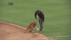 water boi | Daily Doge