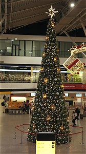 23K views · 333 reactions | ✨ The holiday magic has already lit up...