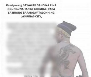 'Bayawak Gang' causing fear among Las Piñas barangay residents