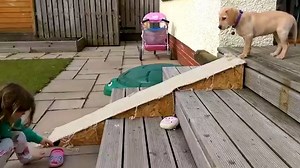 27K views · 360 reactions | Perché faticare, in fondo. Ecco un modo divertente di fare le scale. | Codcast Channel | Facebook