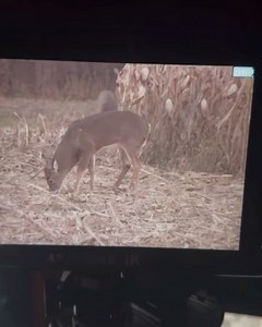 Outdoor Edge Knives & Tools on Reels