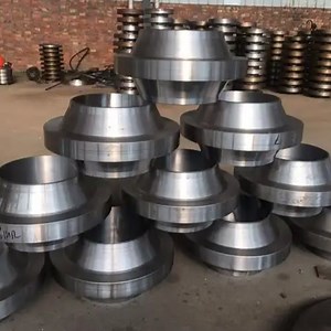 [Hot Item] ASME Sb564 Usn N10276 Alloy C-276 Anchor Flange Swivel Flange