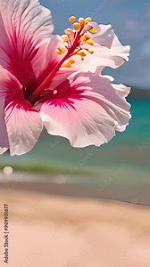 Flowers On The Beach, Resilient Beauty. Hawaiian Hibiscus Flower Blossoms Amidst On Sandy Beach With Ocean In The Background