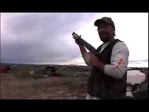 Off the Grid Trailer