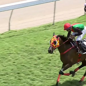 30K views · 274 reactions | Senor Dalpuri Grospoids 若 | Mauritius Turf Passionates | Facebook