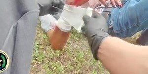 GRAPHIC: Body camera footage of Collier County tiger attack released