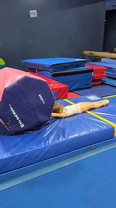 Combining a classic arm circle drill to a classic handstand flat back drill to help your gymnasts learn to connect those dots! • • • • #hopegymnasticsacademy #sterlingva #leesburgva #herndonva #ashburnva #gymnasticssterling #gymnasticsashburn #gymnasticsleesburg #gymnasticsherndon #hopegymnastics #vaultdrills #vault #handstandflatback #fronthandspring #vaultdrill | HOPE Gymnastics Academy
