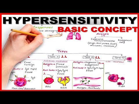 Hypersensitivity Basic Concept