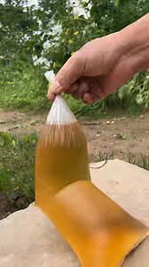 #Customised Oil Bottle Home made for home use. | Alfred Nkosi