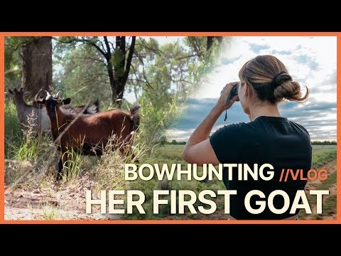 Bow Hunting Australia | Getting Her First Goat with a Bow!