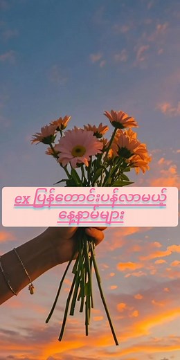 Shwe Thant သည် TikTok ပေါ်တွင် ရှိသည်