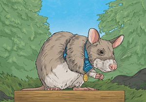 Magawa Hero Rat - Twinkl NewsRoom - Twinkl