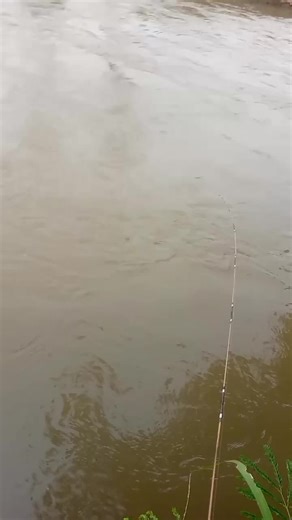 Tukang Mancing on TikTok