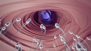 15K views · 160 reactions | conception explained | Help You | Facebook