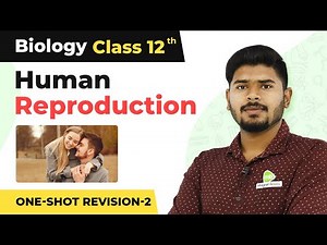Human Reproduction Full Chapter Explanation (Part 2) | Class 12 Biology Chapter 2 | CBSE 2024_25