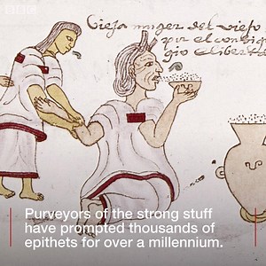 The only subjects that fill the pages of English slang more are money and sex. 🍷 | BBC Culture