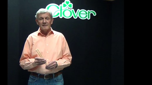 Bamboo Circular Knitting Needles "Takumi" , 9-Inch Size 3 (3016/9-03)