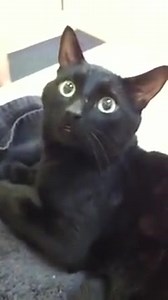 22K views · 406 reactions | The morning after the night before... | Ibiza 2016 | Facebook