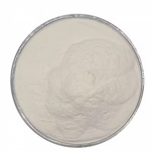 [Hot Item] Supply High Quality Probiotics Natural Probiotics Lactobacillus Plantarum Fermentation