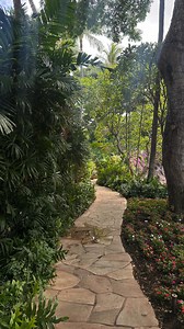 WHY YOU SHOULD STAY HERE ️ Lush Rooms with a View: Stay in...