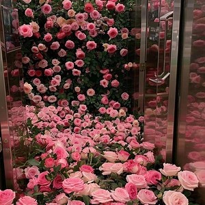 ☎️78 327 35 82 ☎️77 826 65 39 Lekeulo Ak Xaley Diongoma Saff Sapp Magui Parcelles Assainies #Neeh #ParcellesAssainies #ouestfoire #ouakam #dakarbuzz #ngor #almadies #katantedakar #katantevip #drianke_dakar | Happy Saff Sapp Leukelo