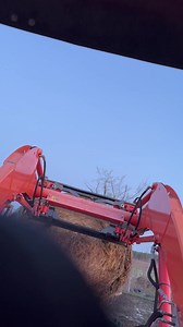 46 reactions · 14 comments | Absolute bullseye, yassssss! My tractor skills are improving. Last large round bale from last summer - we’ll have to use small square bales until we do hay again this summer. :) | Bee Meadow Farm | Facebook
