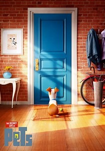 Watch And Download Movie Video The Secret Life of Pets For Free!