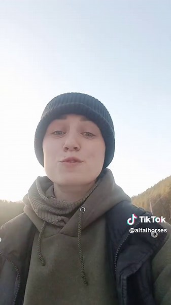Tg: altaihorses on TikTok