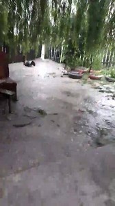 50K views · 93 reactions | Județul suceava comuna valea moldovei satul mironu as ceav nu am văzut avem un primar care nu face nimic așteaptă nu.mai votat  | În Numele. Iubire | Facebook