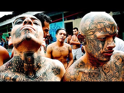 The Most DANGEROUS GANGS In The World