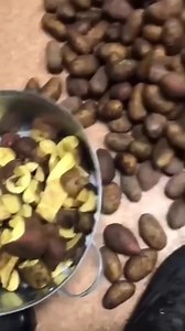 1.5M views · 97K reactions | Khaby Lame Funny reactions路藍藍藍藍 #khabylame #khabyfunny #funnyreactions #viralvideo #funnyreaction #learnfromkhaby | Funny Reaction | Facebook