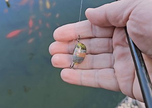 Beetle fishing lure