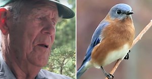 96-Year-Old Works To Save Bluebird Population with Over 300 Homemade Birdhouses