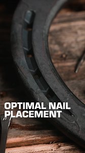 Additional heel support, optimised nail hole positioning, easy to shape the Dynamic is a great all round shoe. | Mustad Hoofcare