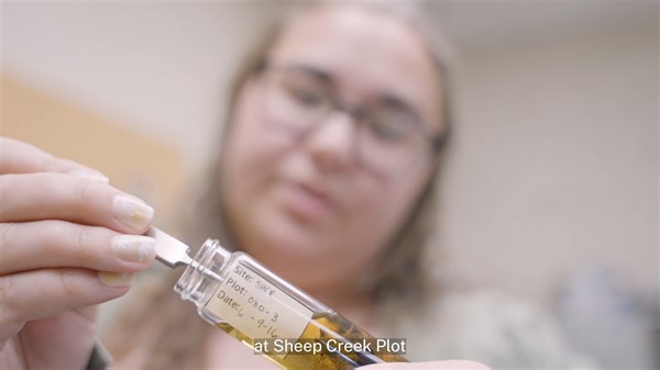22 reactions | Who doesn't love a crunchy bug for breakfast? 荒聯Sage grouse chicks need to eat lots of bugs and other arthropods as they grow up, and graduate entomology student Grace Overlie is investigating whether grazing cattle affect the amount of food available for these young birds. #research University of Idaho College of Natural Resources | University of Idaho | Facebook