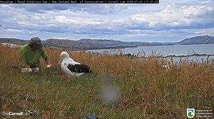 47K views · 1.4K reactions | Did you hear the news? The Northern...