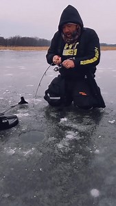322K views · 2.6K reactions | The fish of a lifetime. #minnesota #winona #tipup #pike #northernpike #hardwater #jeremylittel #throwback #fblifestyle | Jeremy Littel | Facebook