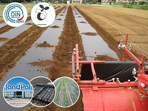 [Hot Item] Degradable Compostable Pbat PLA Mulch Film for Agriculture