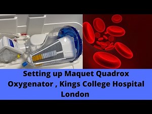setting up maquet Quadrox oxygenator ,Kings College Hospital, London
