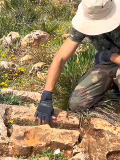 Crosse treasure sign | Last discovery