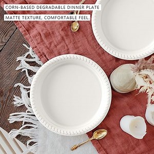 [Hot Item] Compostable 7 Inch 9 Inch Disposable Plate Biodegradable Plate Made From Corn Starch