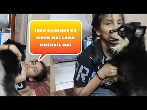 Gauri aur Coco ka khel shuru ll कोको और गौरी का खेल शुरू 🤣