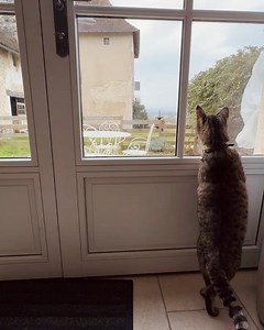 Clémentine Delauney on Reels