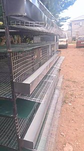 #PoultryAutomation #PoultrySolutions #madeinzambia #savespace #savemoney | Lilayi Import and Agro Consultants