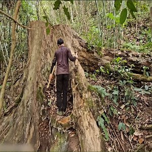 2.2M views · 38K reactions | Survival Shelter #camp #build #camping | Camping videos Survival | Facebook