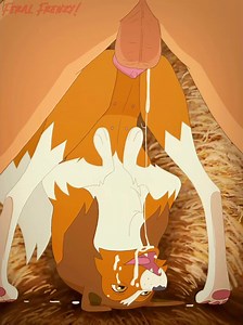 Human Male x Lassie [Paloma-Paloma]