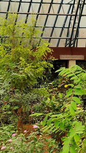 3.9K views · 56 reactions | Butterfly Park of Bannerghatta National...